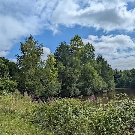 Familial En Pleine Foret Mouliherne