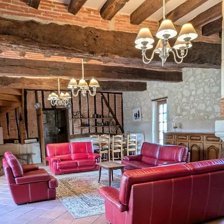 Familial En Pleine Foret