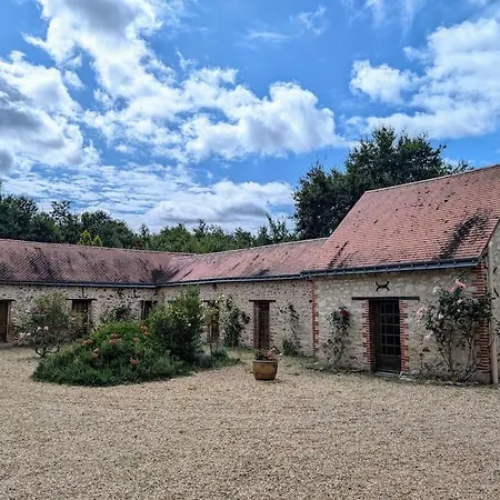 Familial En Pleine Foret