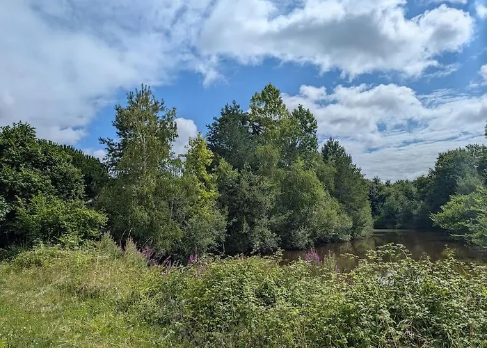Familial En Pleine Foret Mouliherne