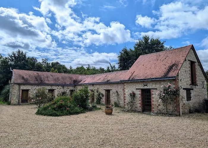 Familial En Pleine Foret